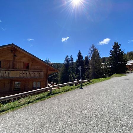 Eden Sur Les Pistes Avec Vue Panoramique Sur La Vallee La Joue du Loup Buitenkant foto